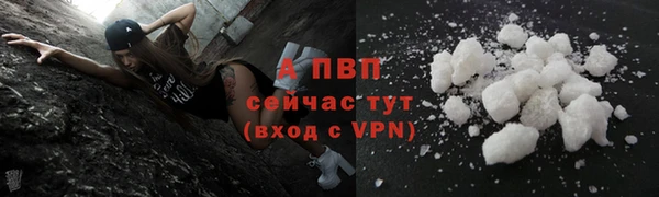 стаф Волоколамск