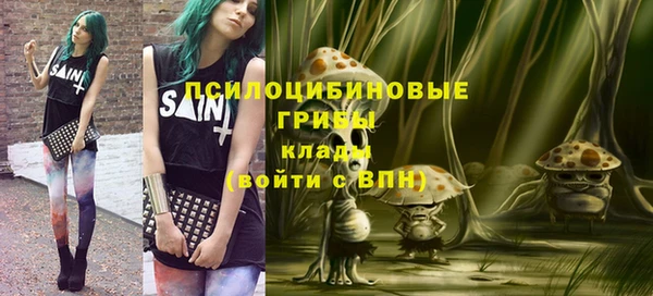 стаф Волоколамск